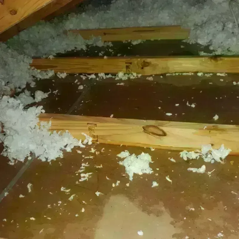 Attic Water Damage in Lewiston, CA