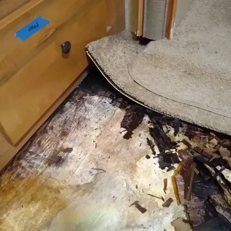 Wood Floor Water Damage in Lewiston, CA